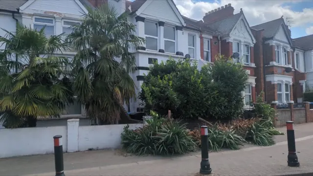 Palm and cordyline cuttings and branches stacked along the pavement in Ealing ready for garden waste removal