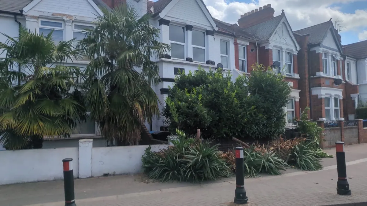 Large tree and garden waste removal in Ealing — palm and cordyline cuttings and branches stacked along the pavement outside terraced houses